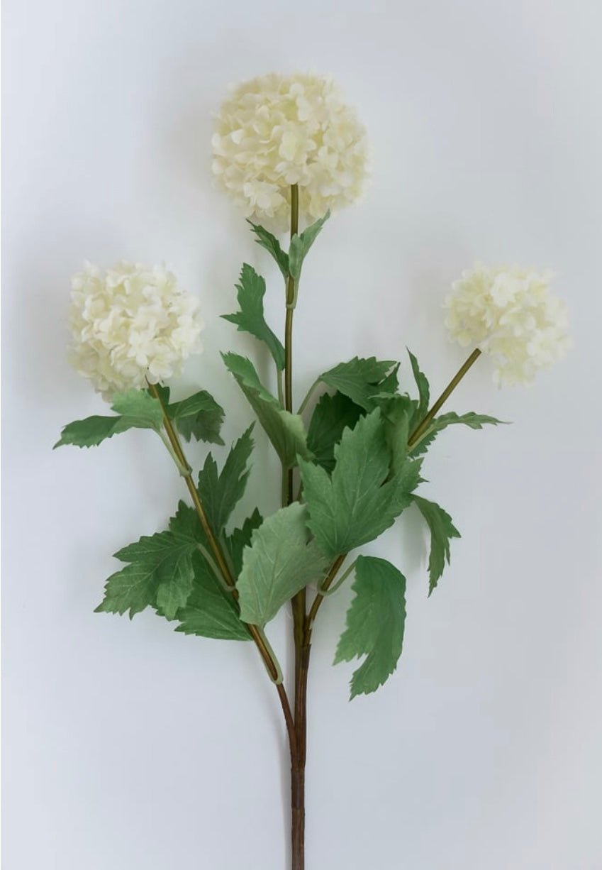 Snowball hydrangea spray - cream - Greenery Market2255078CR