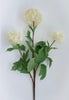 Snowball hydrangea spray - cream - Greenery Market2255078CR