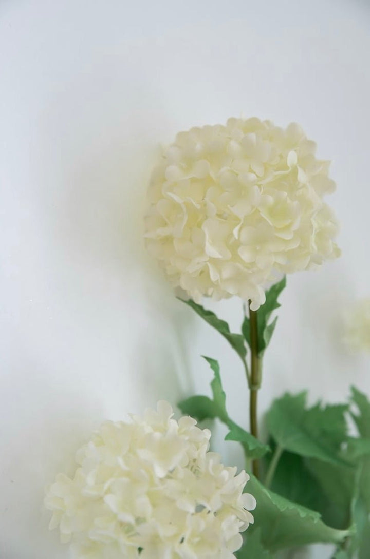 Snowball hydrangea spray - cream - Greenery Market2255078CR