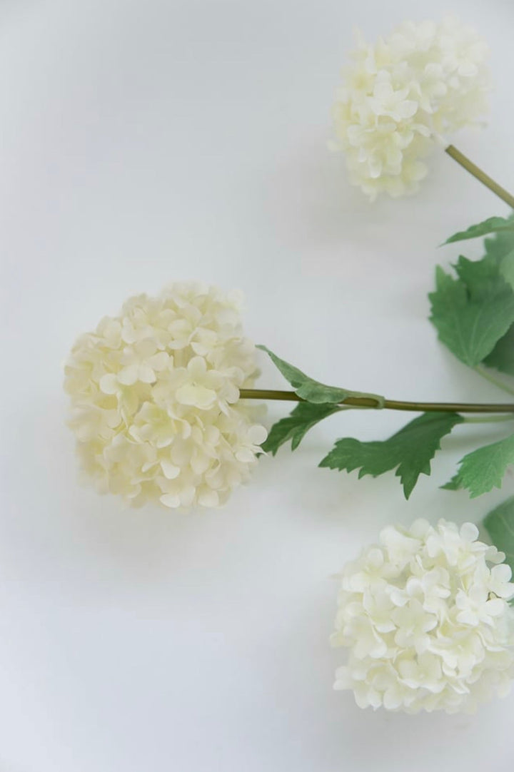 Snowball hydrangea spray - cream - Greenery Market2255078CR