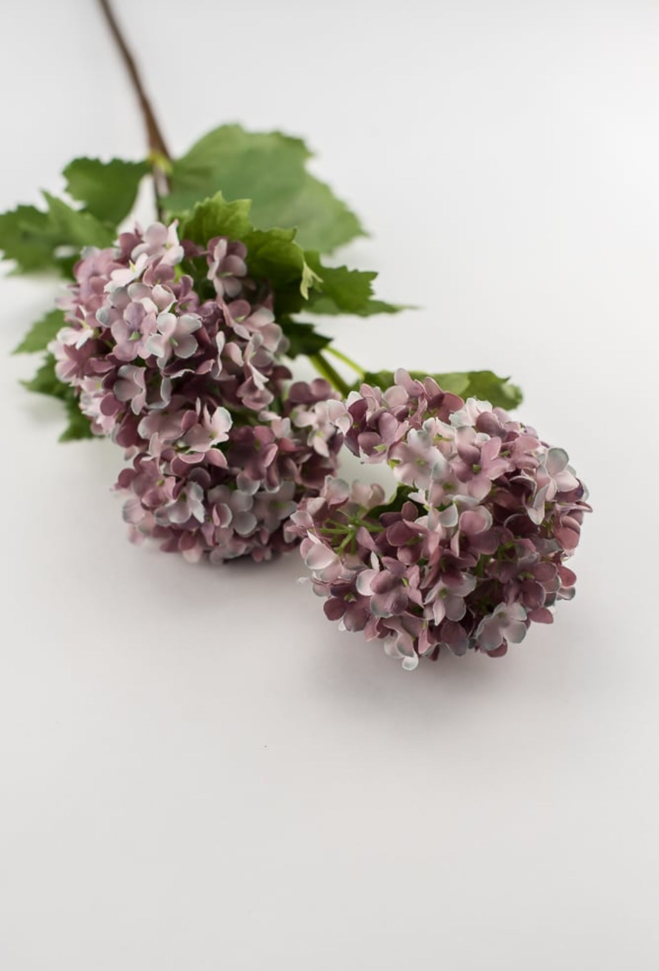 Snowball hydrangea spray - purple - Greenery Market2255078PP