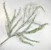 Snowy bubble asparagus spray - 40” - Greenery Marketgreenery27241