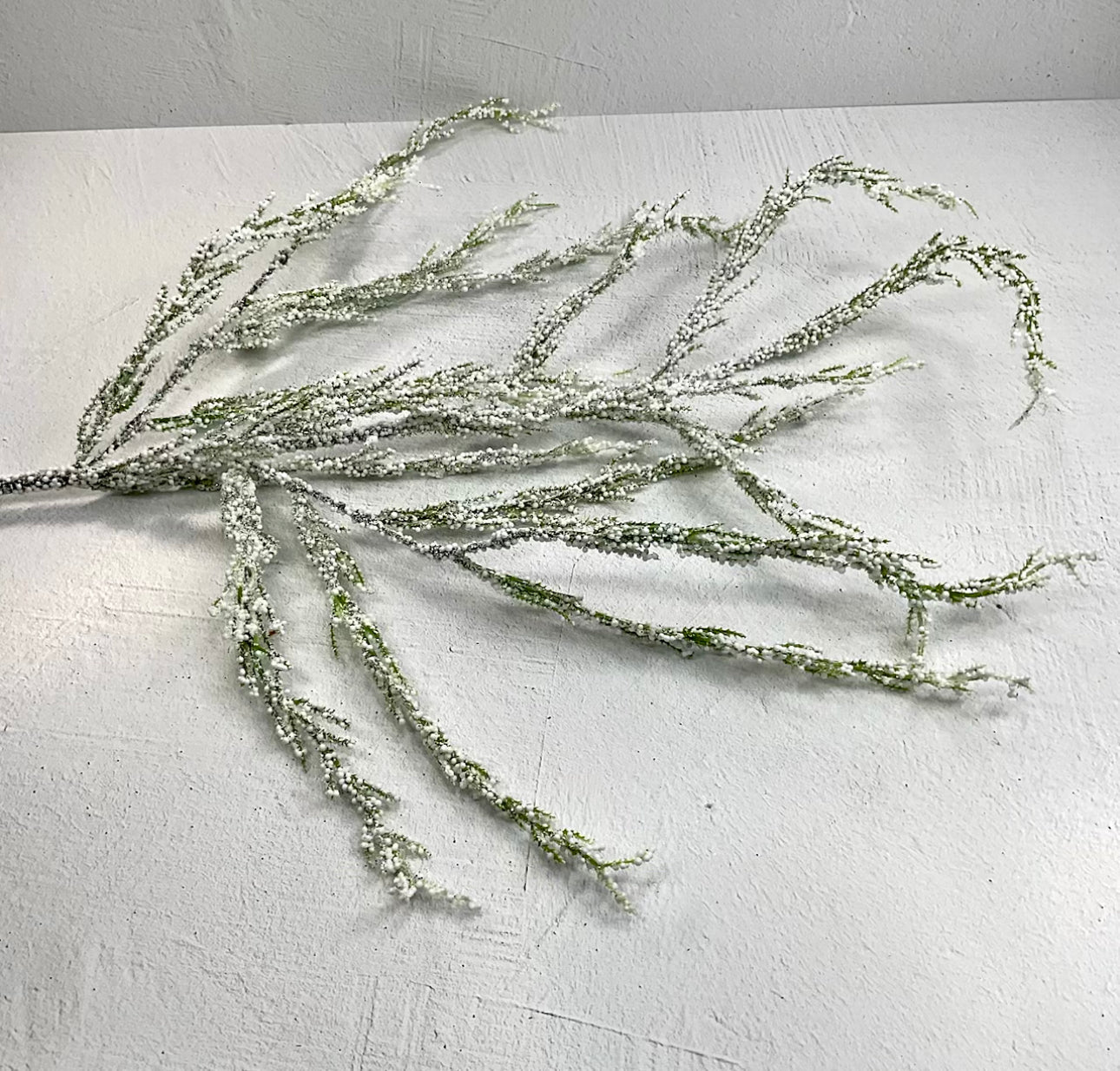 Snowy bubble asparagus spray - 40” - Greenery Marketgreenery27241