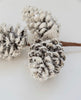 Snowy pinecones pick - Greenery MarketSeasonal & Holiday Decorations173311