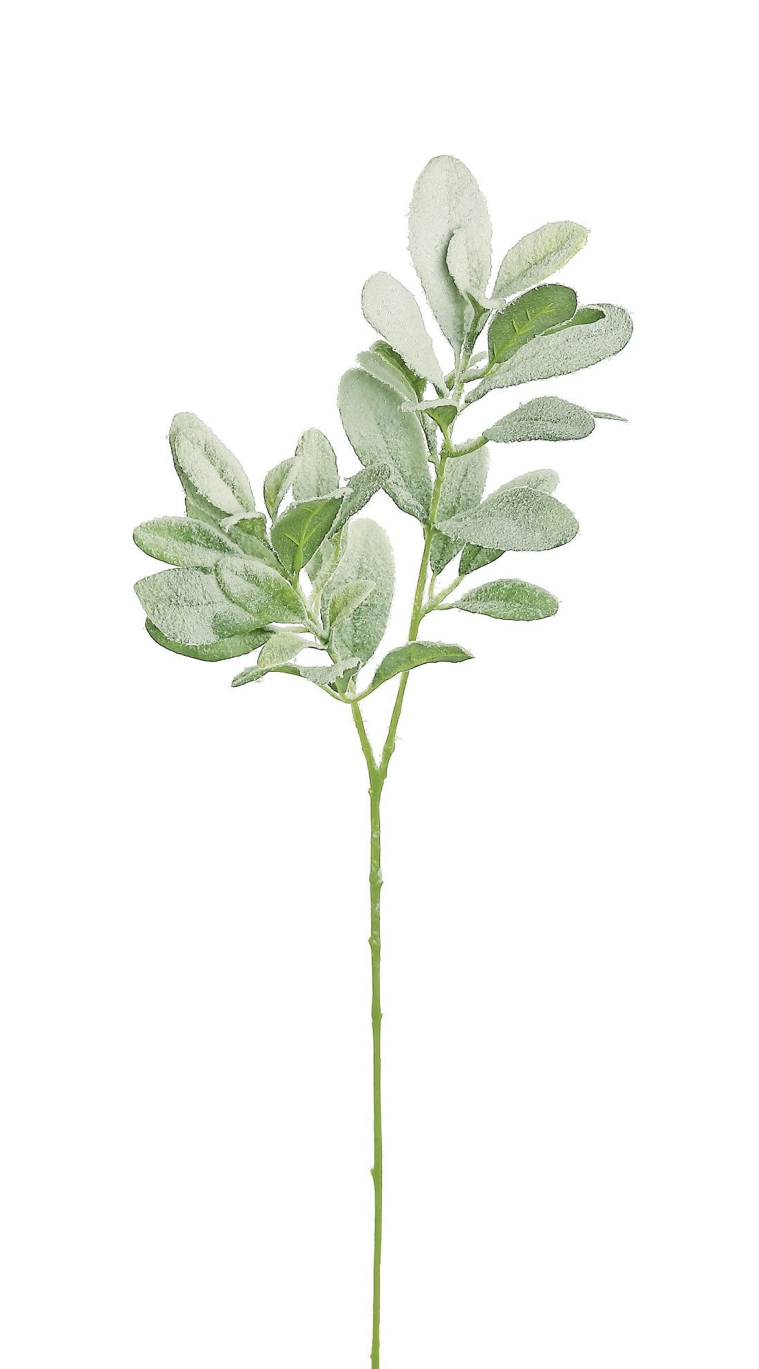 Snowy winter Lambs ear Greenery Market