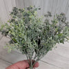Soft Lavender tipped Seed greenery bush - Greenery MarketgreeneryPF1731