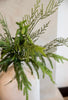Soft touch, artificial, norfolk and cedar pine bundle - Greenery Marketgreenery27297