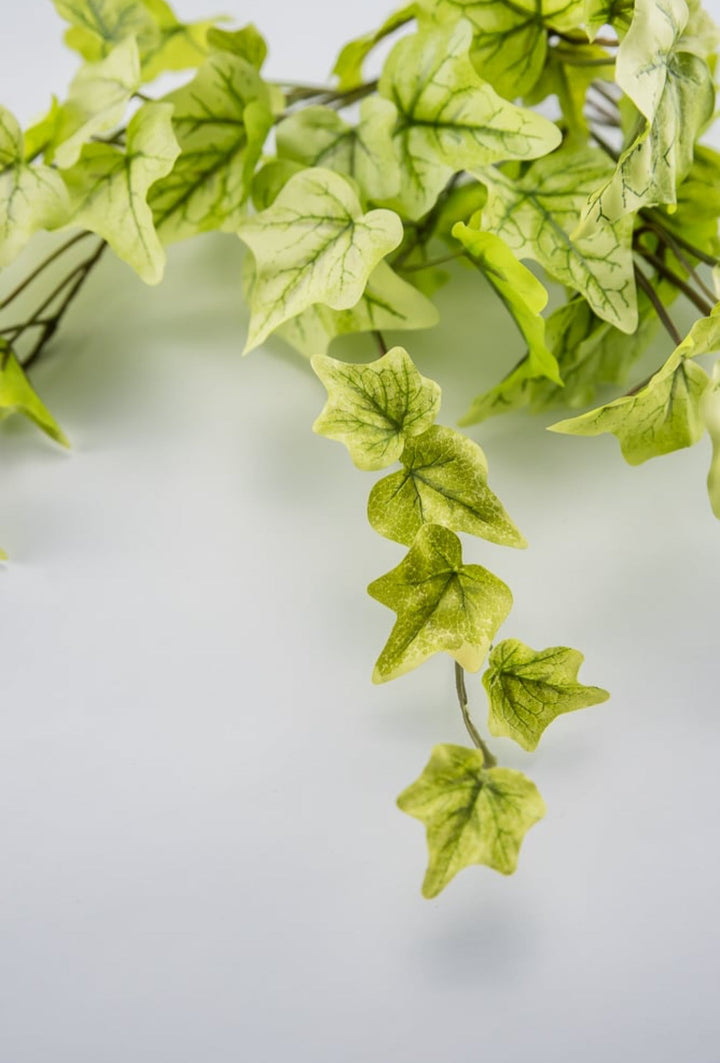 Soft touch mini Ivy hanging bush - Greenery Market80091-LT.GN