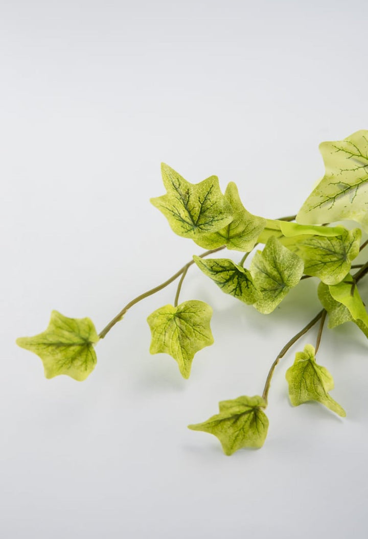Soft touch mini Ivy hanging bush - Greenery Market80091-LT.GN