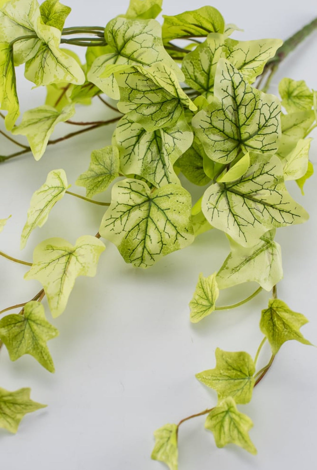 Soft touch mini Ivy hanging bush - Greenery Market80091-LT.GN