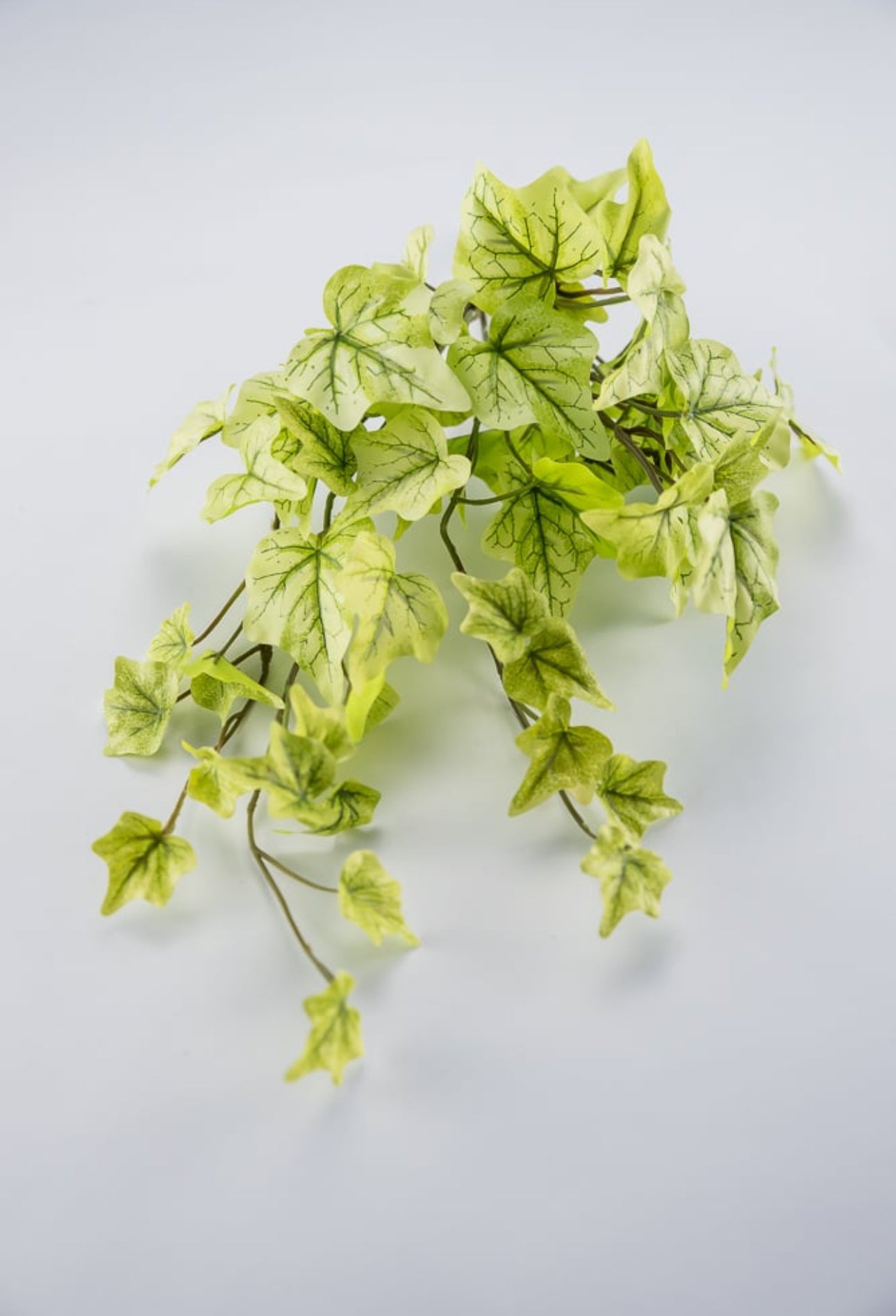 Soft touch mini Ivy hanging bush - Greenery Market80091-LT.GN