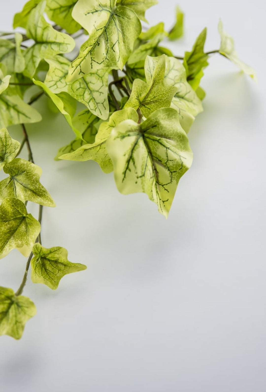 Soft touch mini Ivy hanging bush - Greenery Market80091-LT.GN