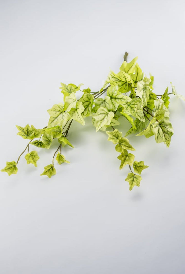 Soft touch mini Ivy hanging bush - Greenery Market80091-LT.GN