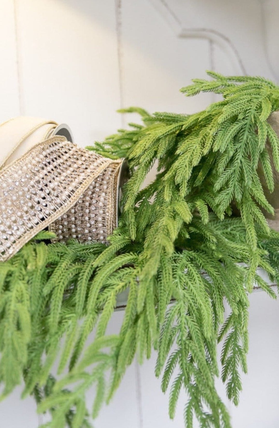 Soft touch, Norfolk pine garland - 45” - Greenery Market27191