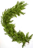 Soft touch, Norfolk pine garland - 64” - Greenery Market27193