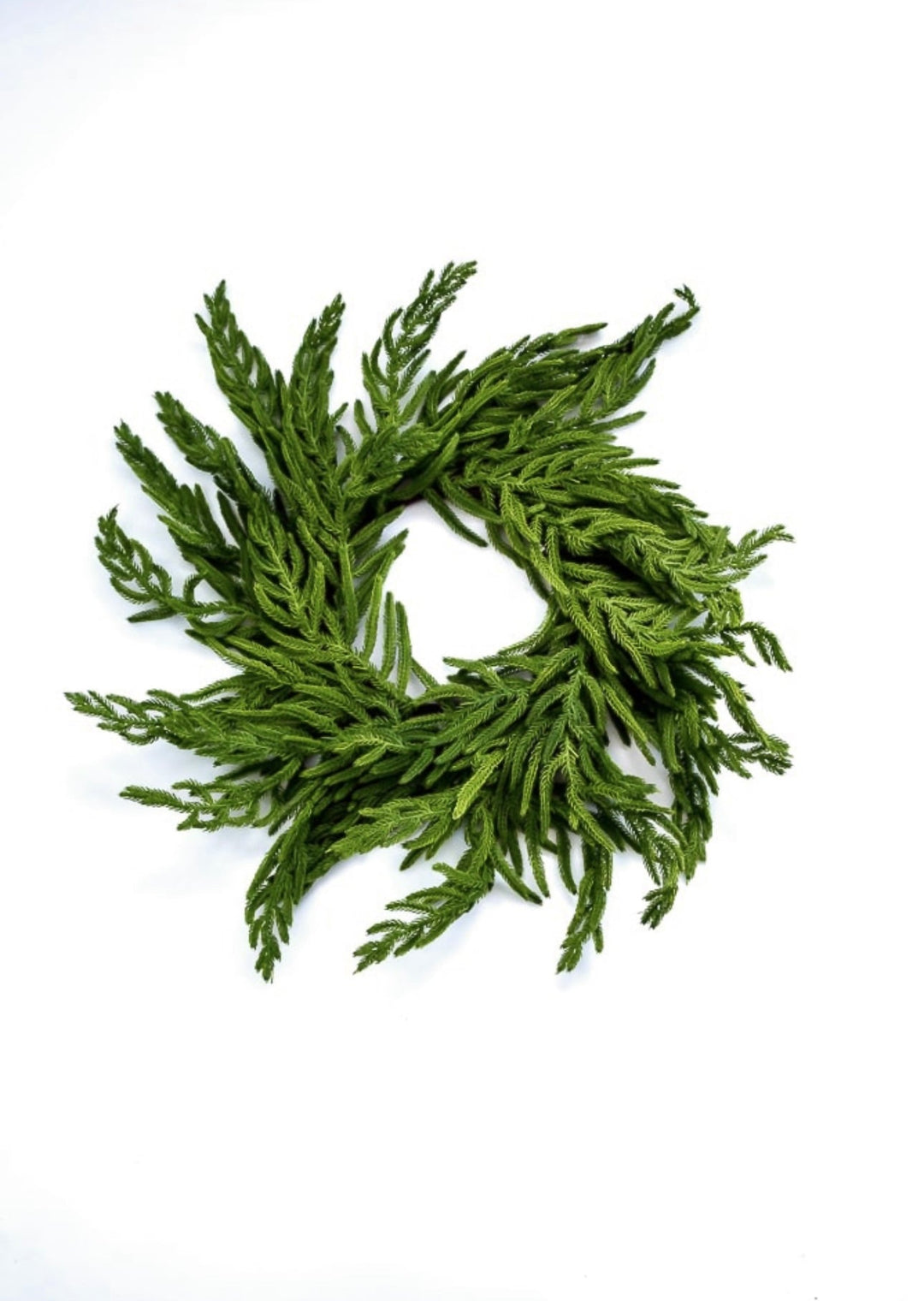 Soft touch, Norfolk pine wreath - Greenery Market27190