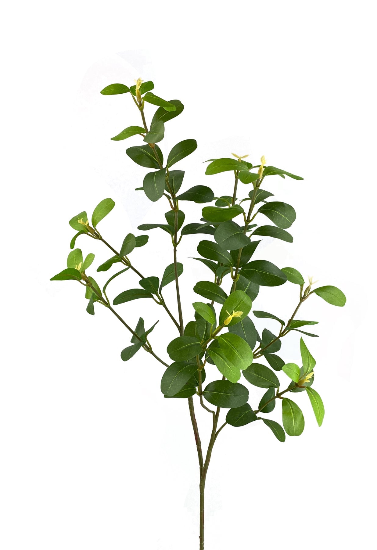 Syngonium leaf spray - Greenery MarketArtificial Flora13598GN