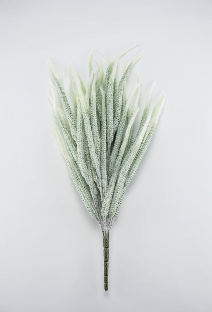 Tail bush with white tips - Greenery Market26947