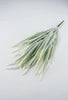 Tail bush with white tips - Greenery Market26947