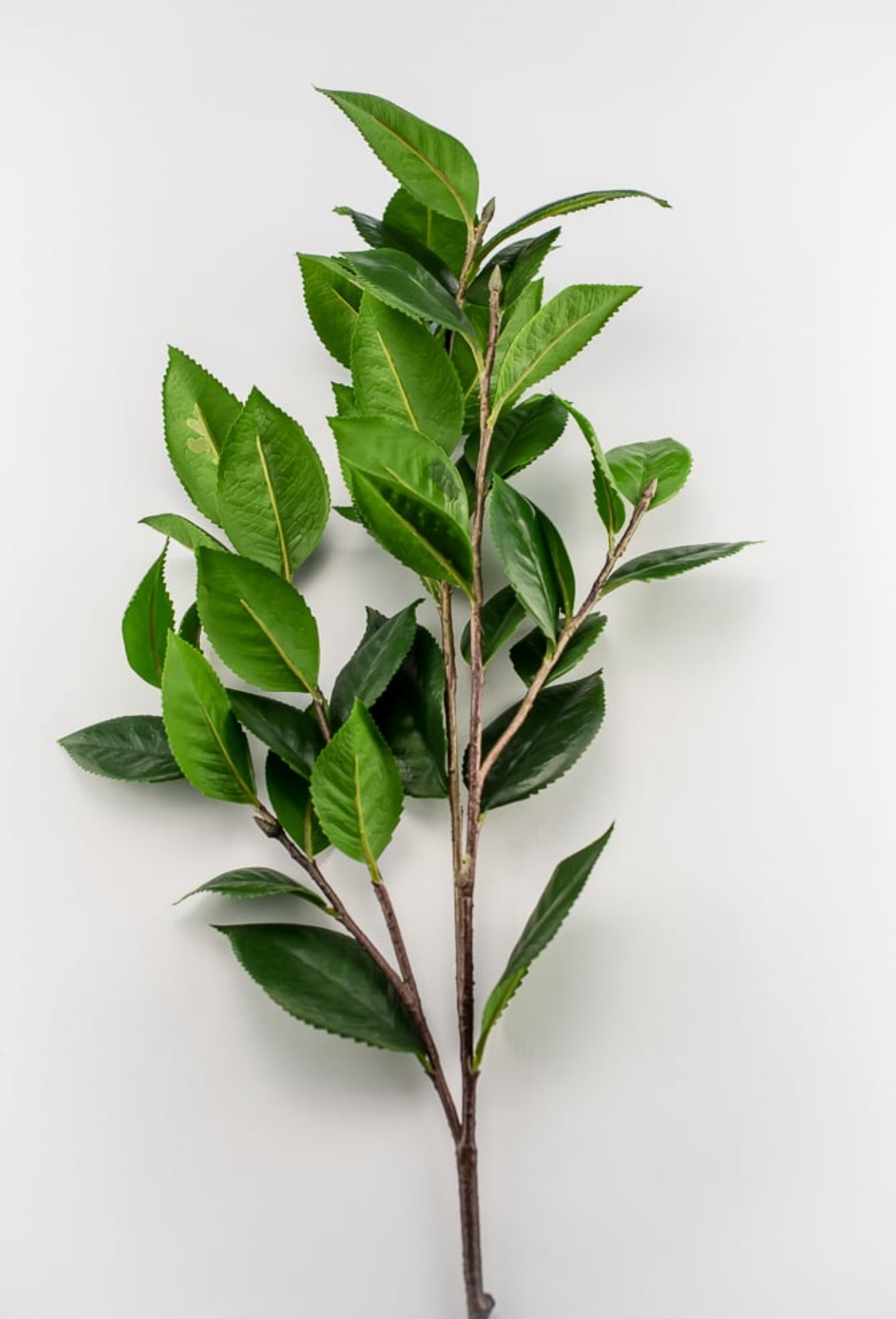 Tea leaf greenery spray - Greenery Market2310177GR