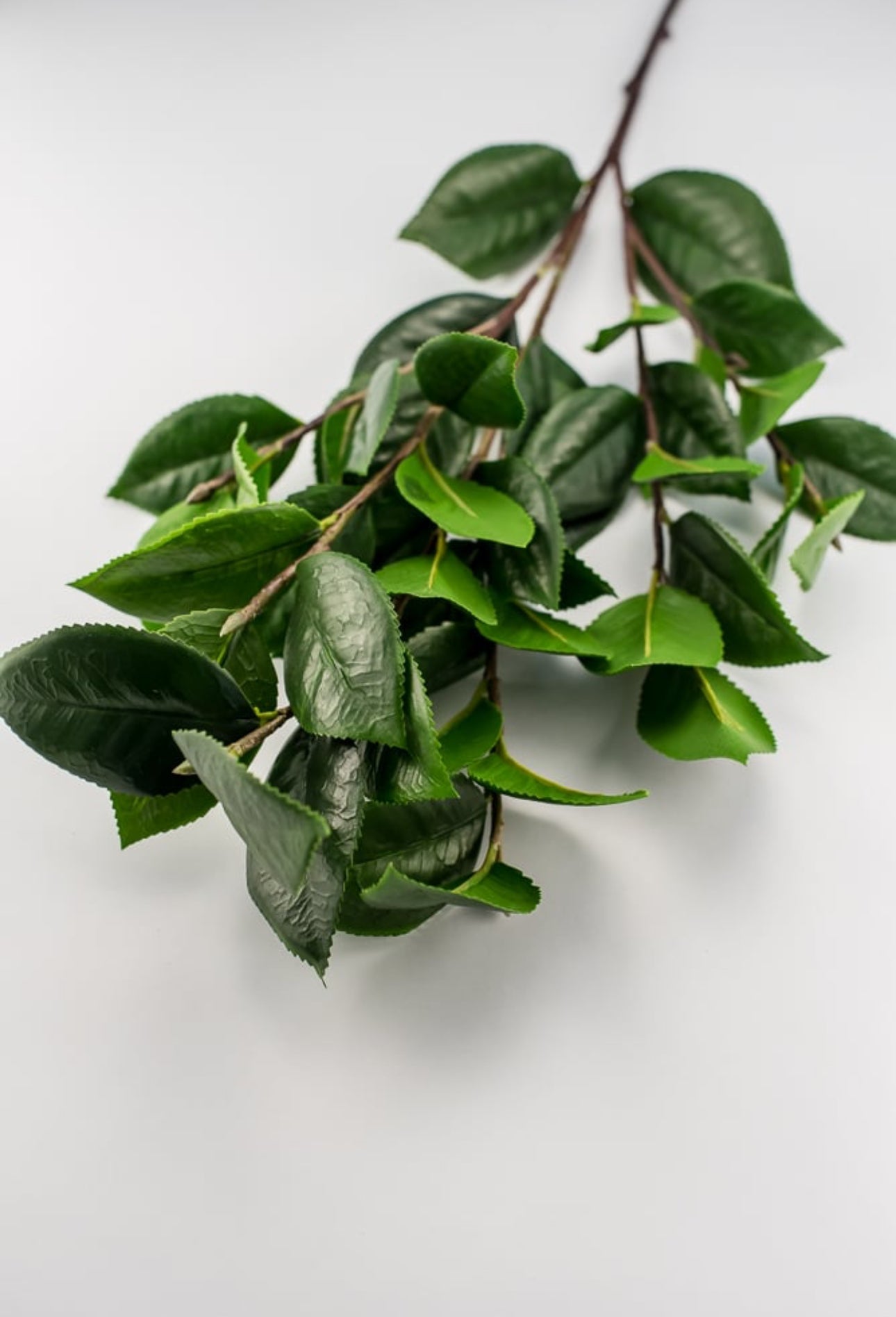 Tea leaf greenery spray - Greenery Market2310177GR