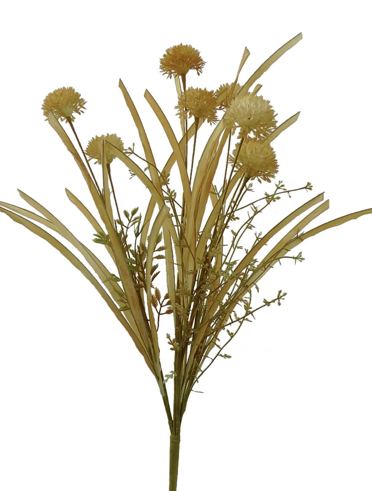 Thistle and grasses filler bush - allium - beige cream - Greenery Marketgreenery56514BE
