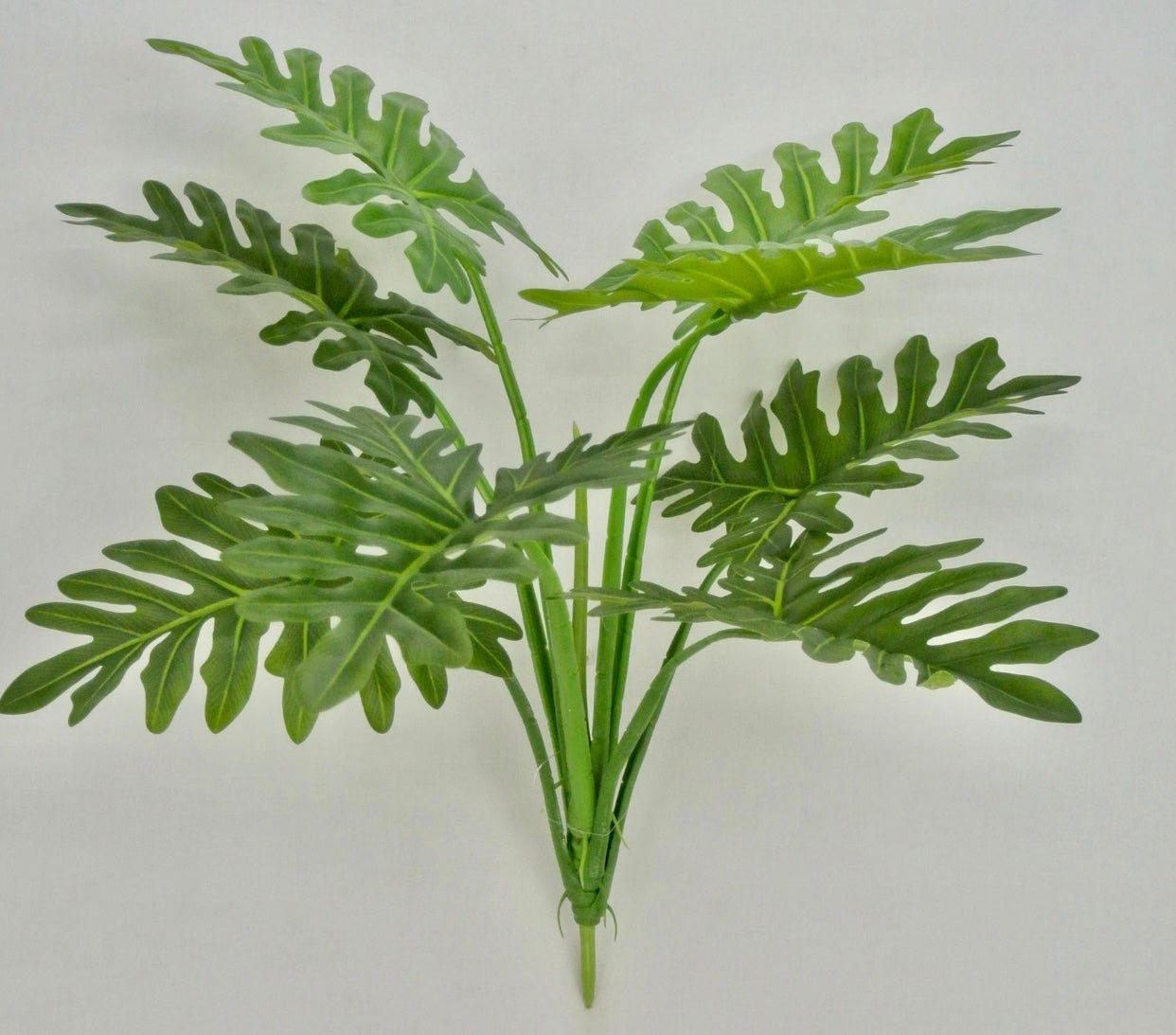 Tropical leaves plant bush - Greenery Marketgreenery82667