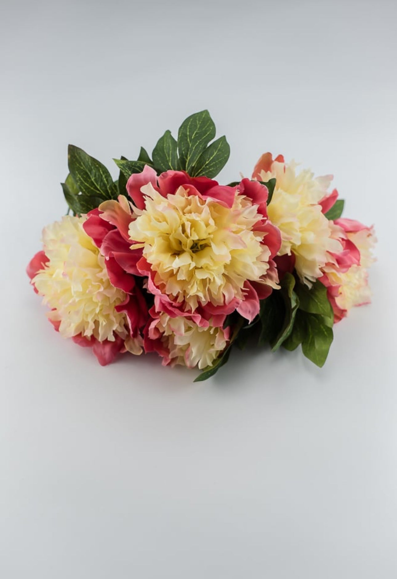 Two tone coral and soft yellow Peony bush - Greenery MarketArtificial Flora2212002PC