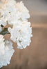White hydrangea stem with snow - Greenery Marketartificial flowers106299