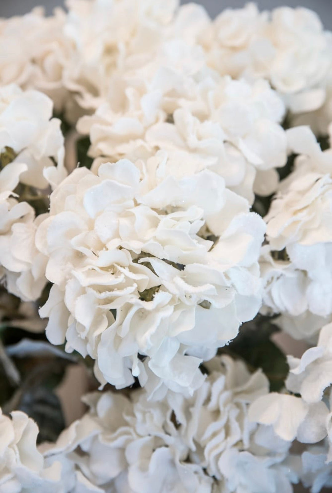 White hydrangea stem with snow - Greenery Marketartificial flowers106299