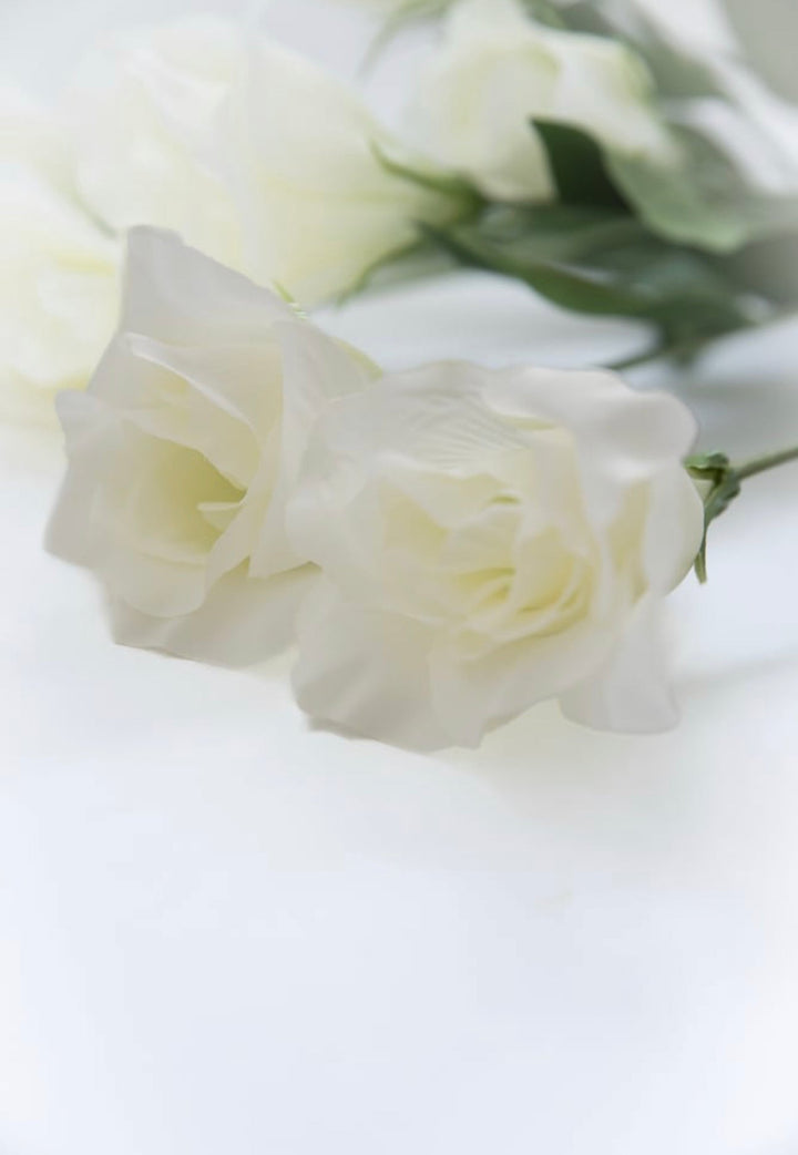 White lisianthus bush - Greenery Market5410-c