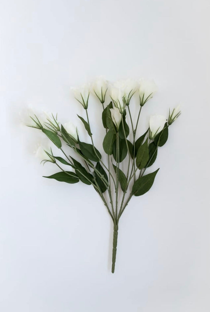 White lisianthus bush - Greenery Market5410-c