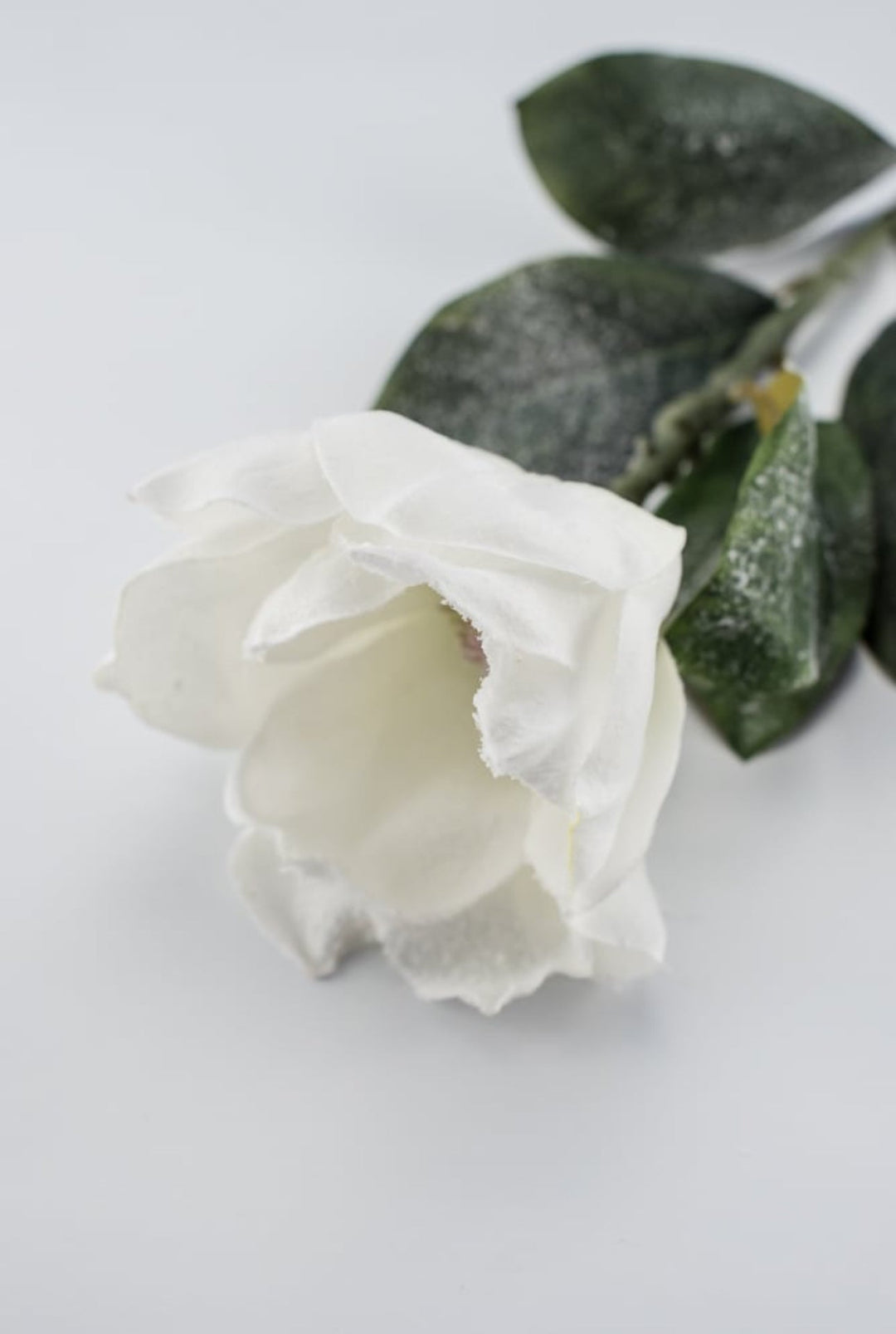 White magnolia with snow - Greenery Marketartificial flowers83335WT