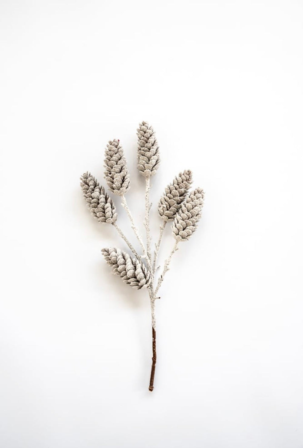 White pinecones spray - Greenery Market83813-WT