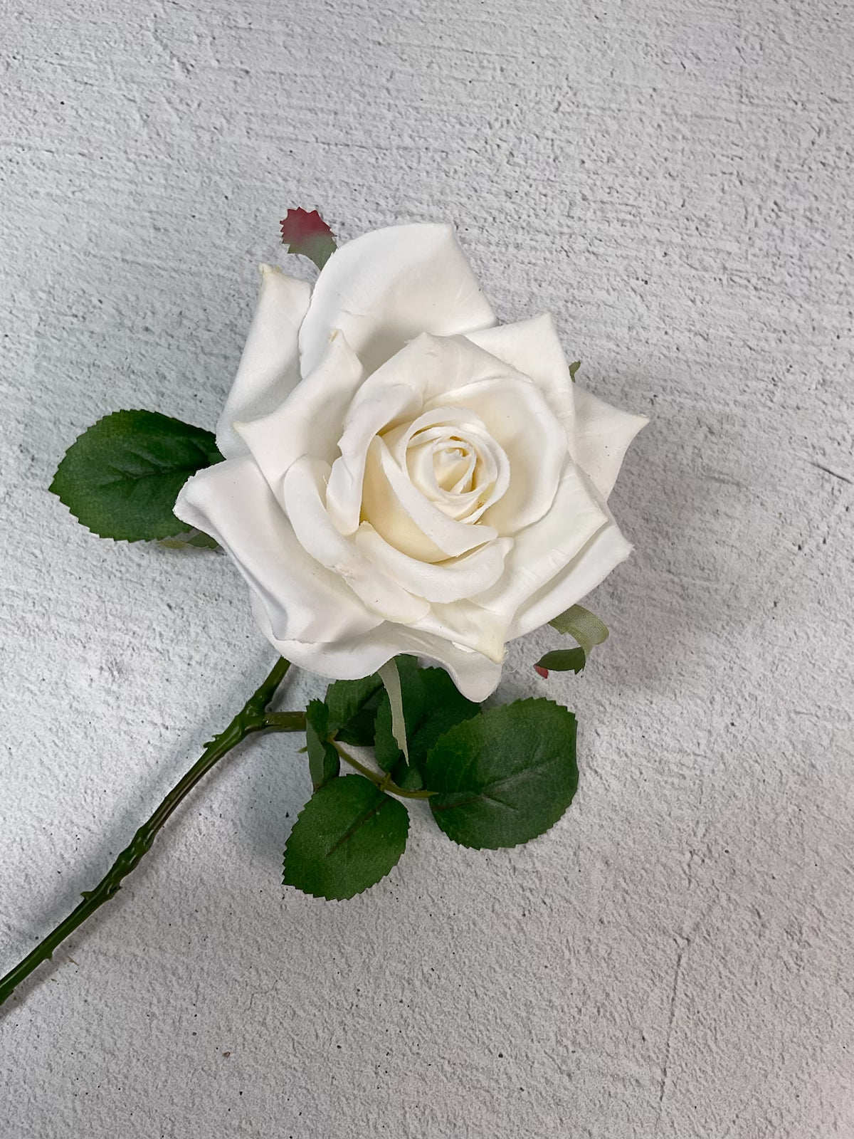White Rose With Stem white-rose-with-stem