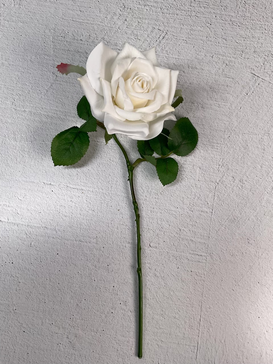 White rose stem - Greenery MarketMtf12371