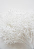 White snowy berry seed bush - Greenery Market2825229WH
