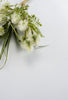 White thistle bundle x4 - Greenery Marketartificial flowers26694