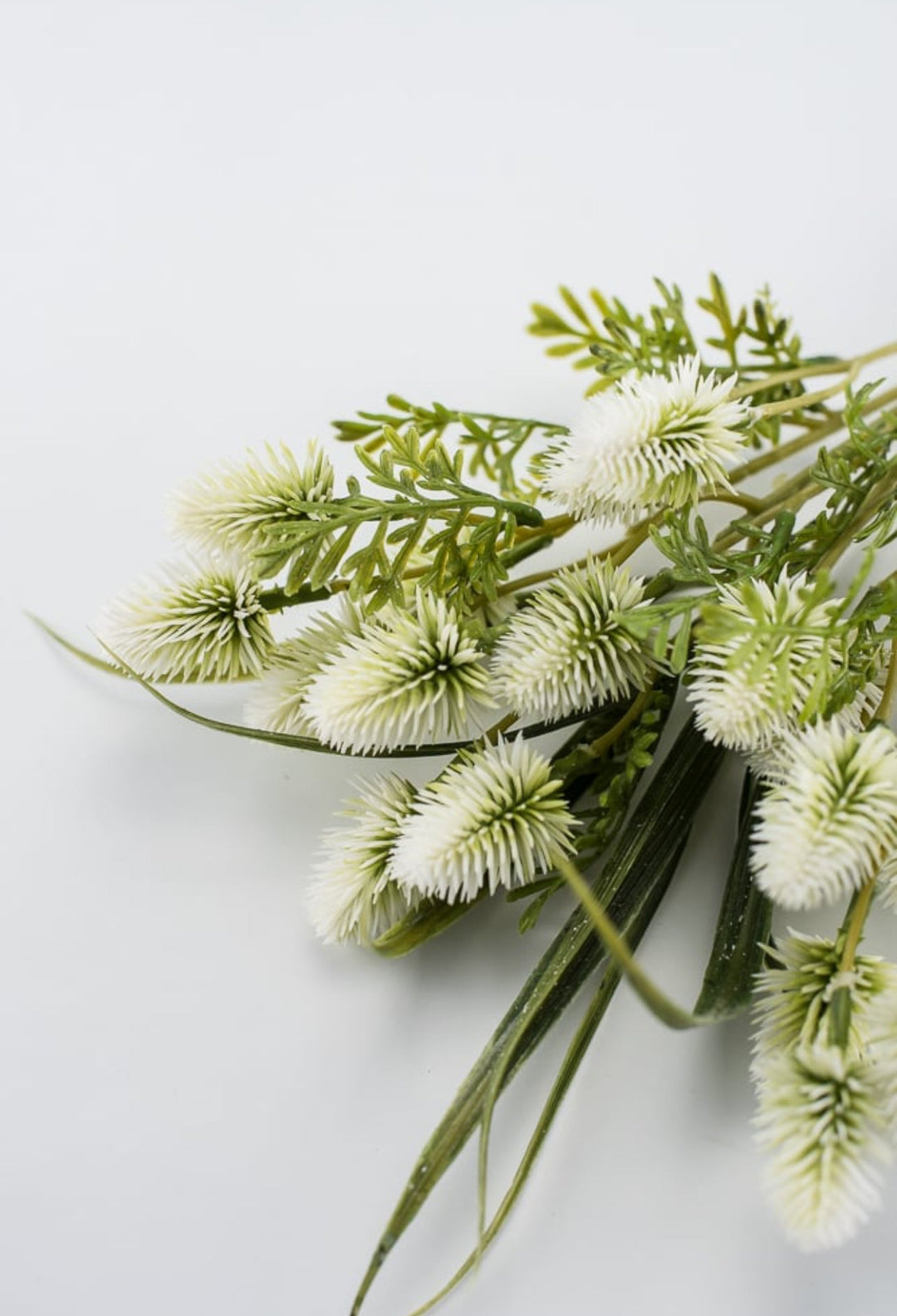 White thistle bundle x4 - Greenery Marketartificial flowers26694