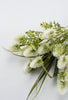 White thistle bundle x4 - Greenery Marketartificial flowers26694