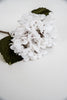White Velvet hydrangea - Greenery Market4999-w