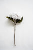 White Velvet hydrangea - Greenery Market4999-w