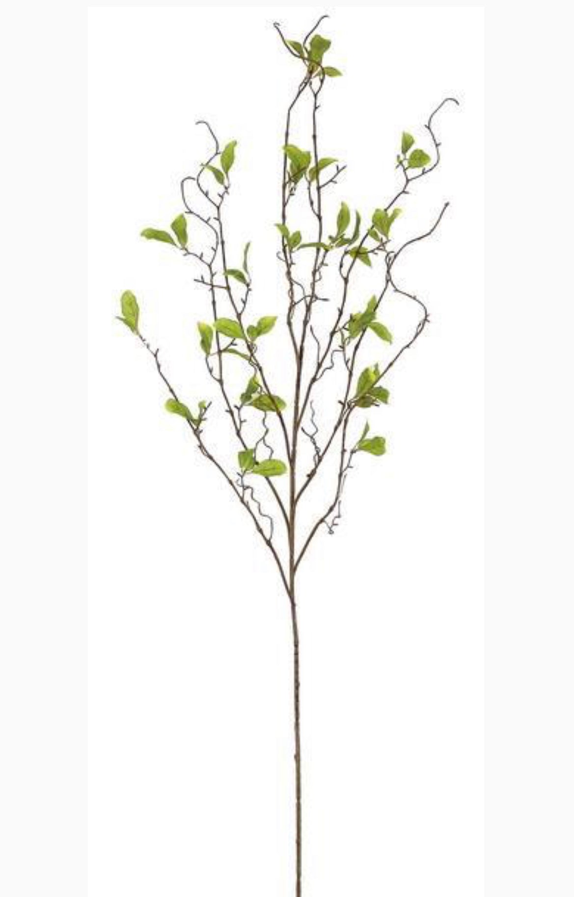 Willow branch with leaves spray - Greenery MarketgreeneryS1336-g