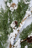 Winter cedar spray with snow - Greenery MarketXS595