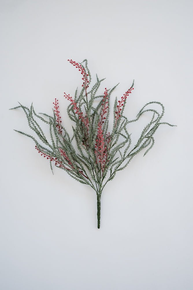 Winter willow bush with red berries - Greenery Market83569