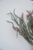Winter willow bush with red berries - Greenery Market83569