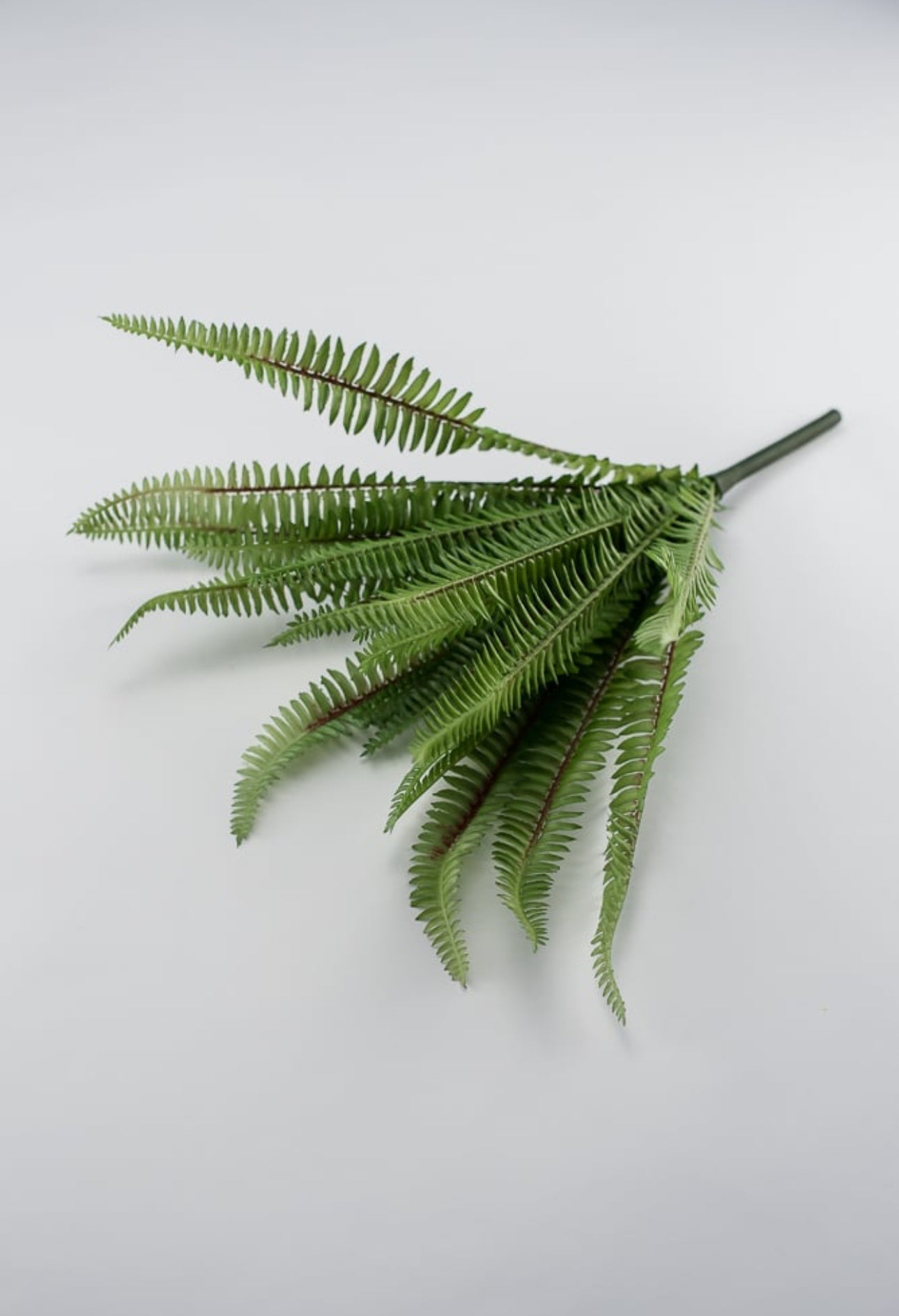 Wired, narrow fern bush, BEST SELLER - Greenery Marketgreenery25772