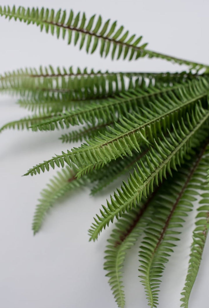 Wired, narrow fern bush, BEST SELLER - Greenery Marketgreenery25772