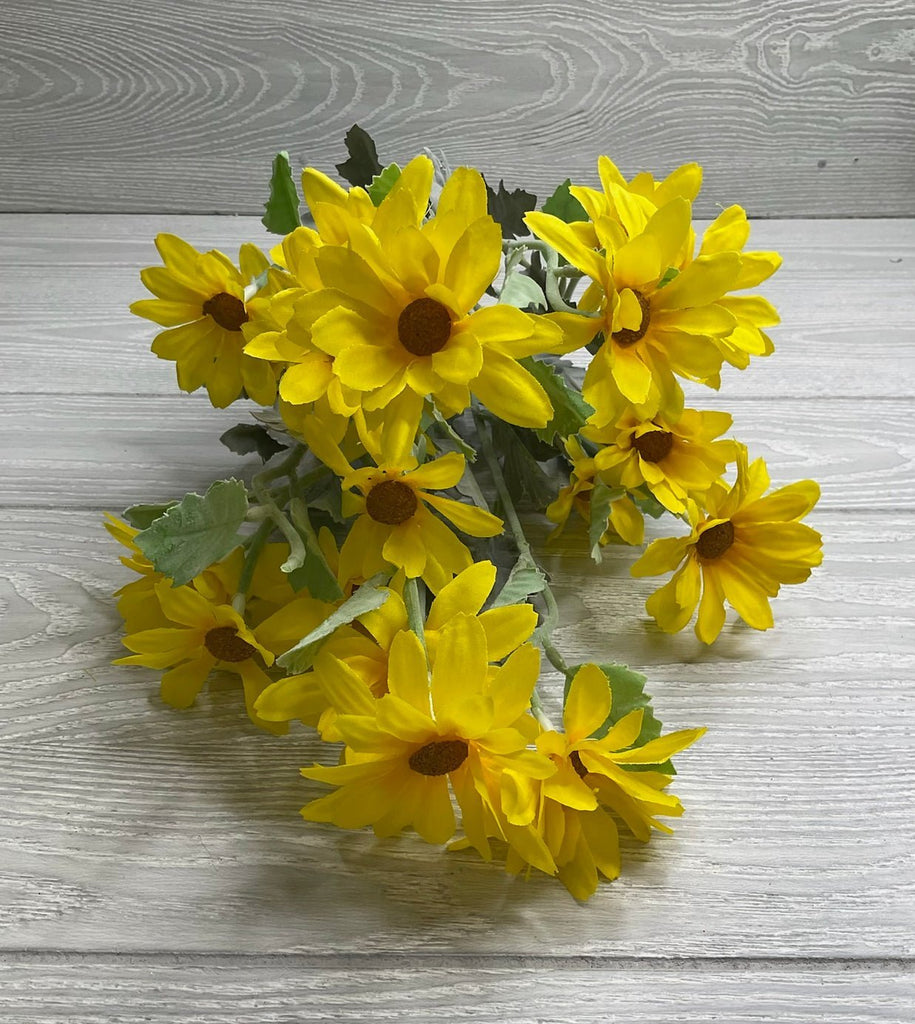 Yellow popular daisies