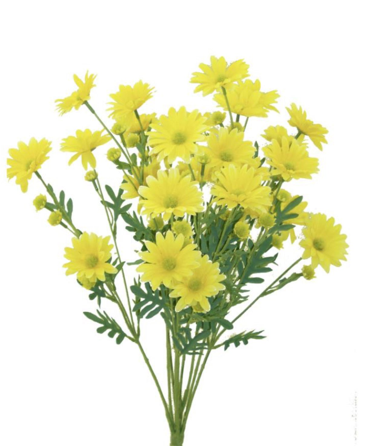 Yellow daisies, Daisy flower bush - Greenery Marketartificial flowers62951yw